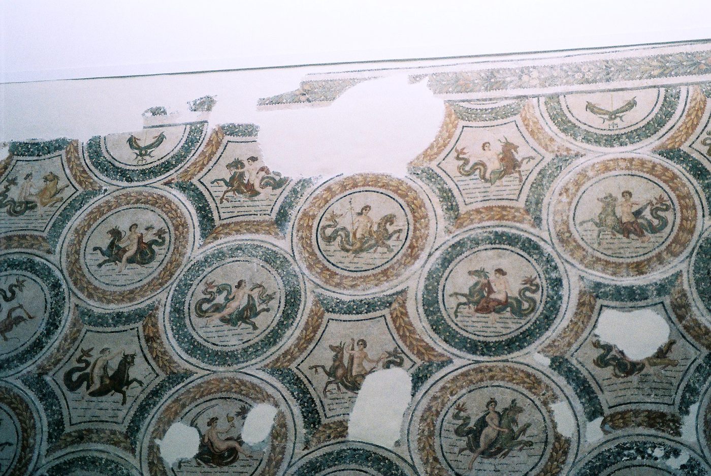 A large Roman marine mosaic of nereids riding sea-creatures on display at the Bardo Museum, Tunis