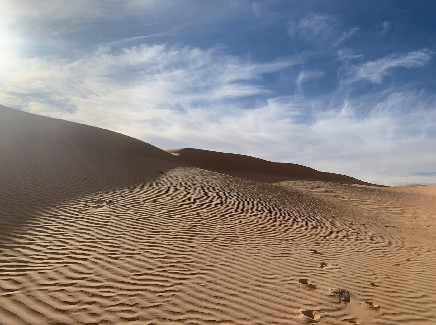 Camels in the Sahara dunes on a two-day desert trip from Sousse