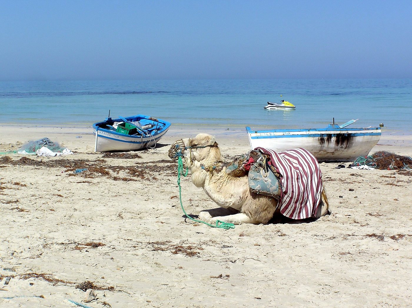 A quiet stretch of Djerba beach in Tunisia with palms and warm, shallow turquoise water