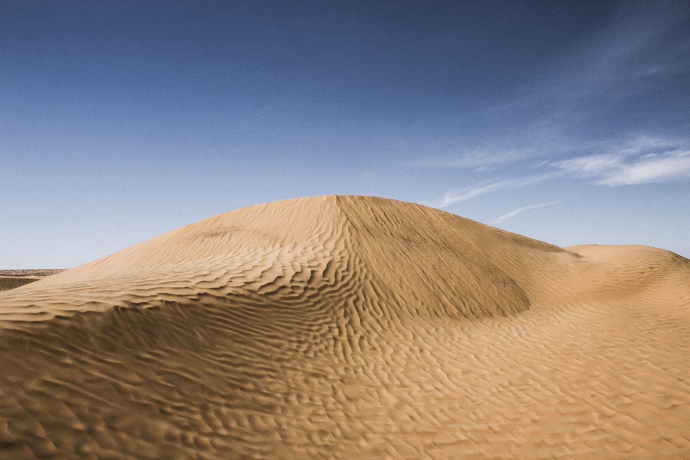 Sahara dunes at the Ksar Ghilane oasis, the big overnight desert trip from Djerba