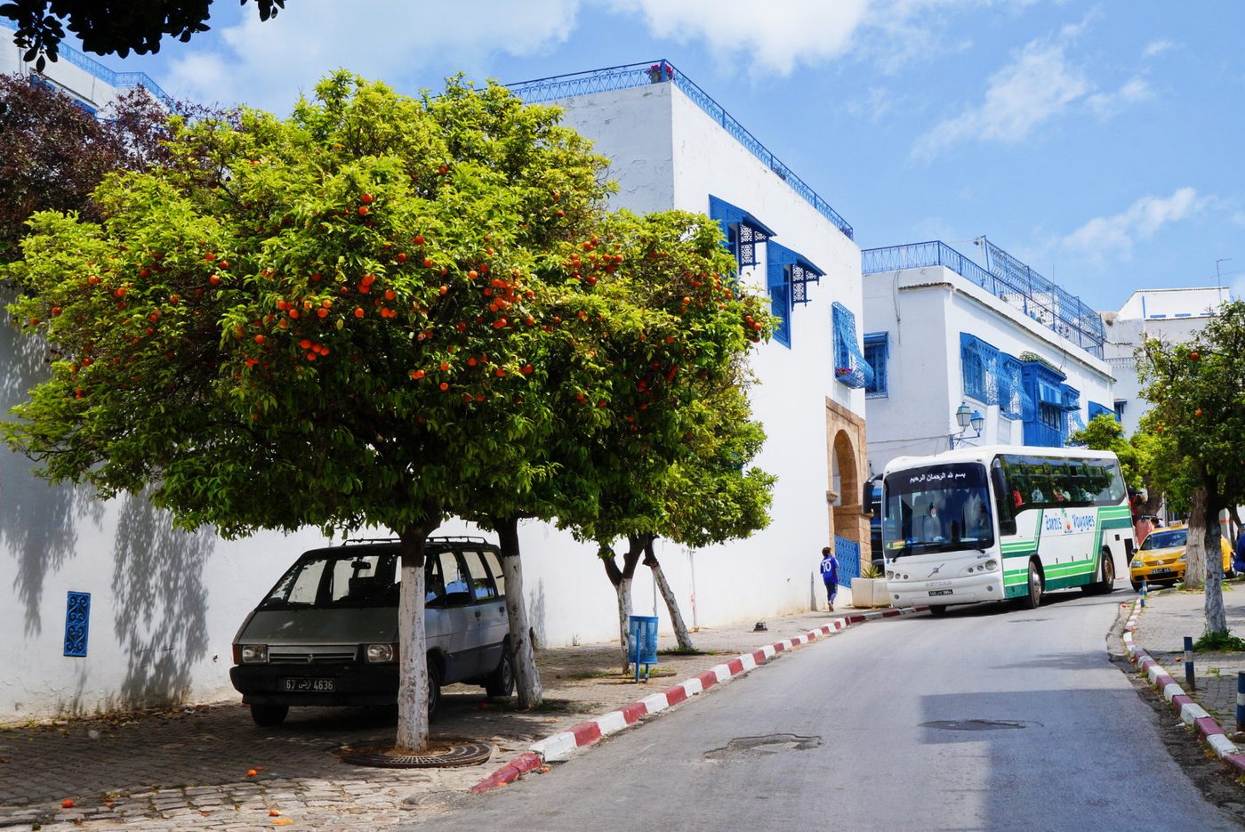 The blue-and-white clifftop village of Sidi Bou Said near Tunis
