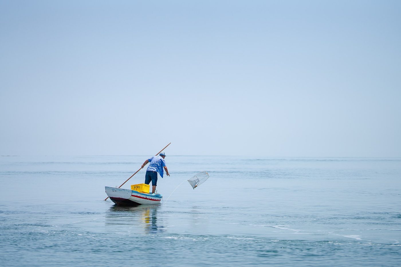 A Kerkennah fisherman casting a traditional wicker fish trap in the calm shallow sea off Sfax, Tunisia