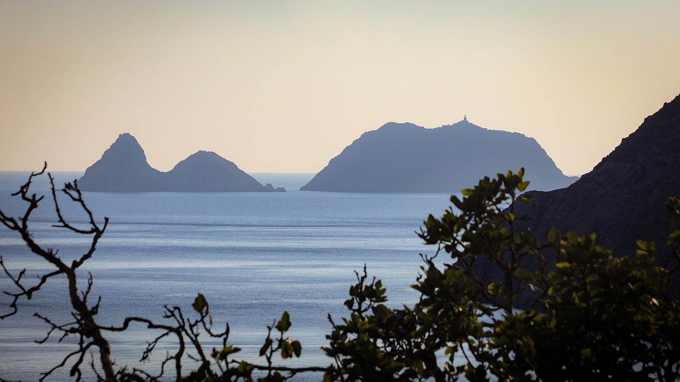The volcanic La Galite archipelago off northern Tunisia, a protected marine area