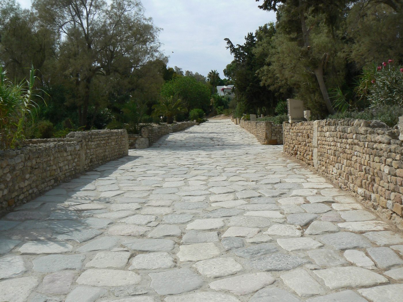 A Roman paved road running through the archaeological site at Carthage