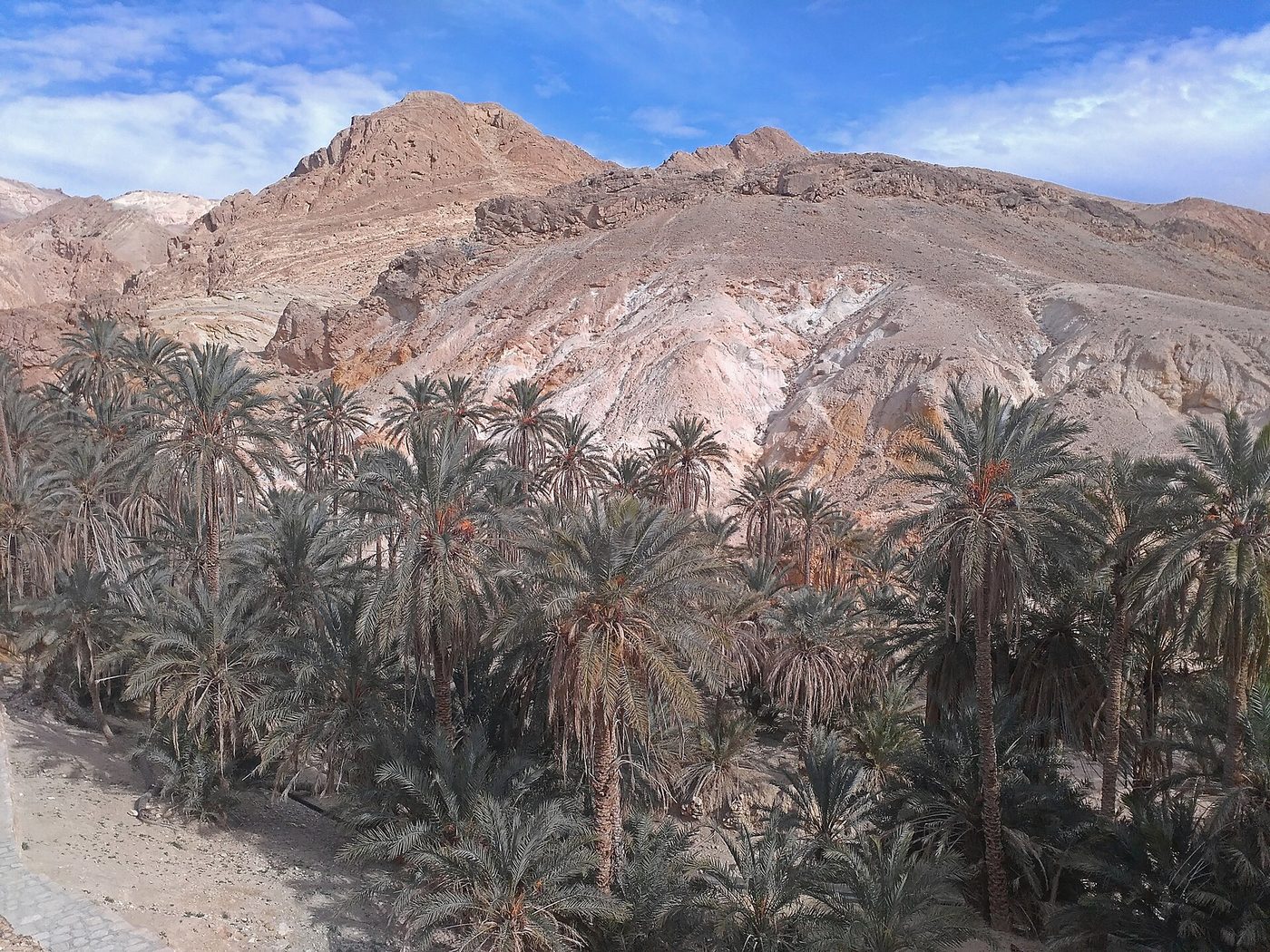The palm oasis below the mountains at Chebika in western Tunisia