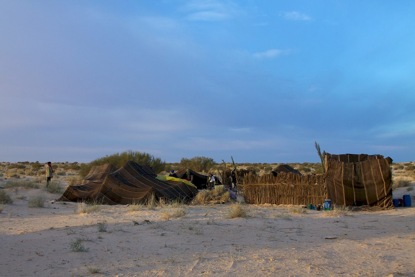 Simple desert bivouac with a goat-hair tent and reed windbreak in the Tunisian Sahara