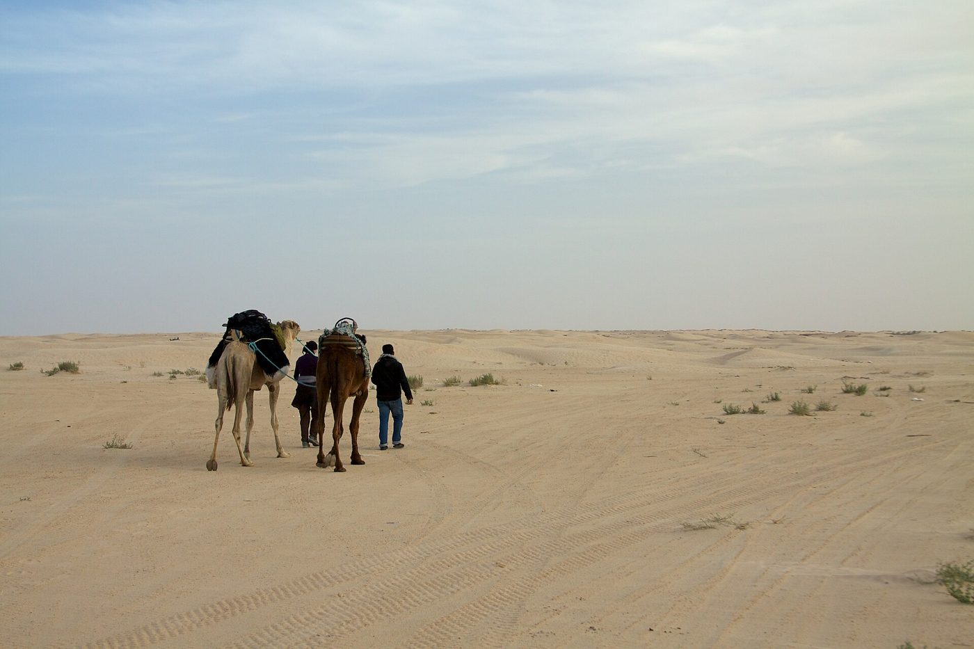 A camel trek at Douz, the sunset stop on most Sahara tours from Sousse