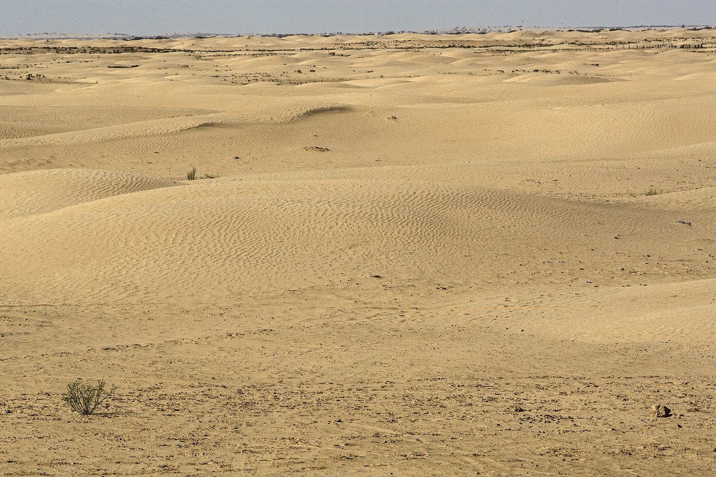 Dunes of the Grand Erg Oriental beyond Douz, Tunisia