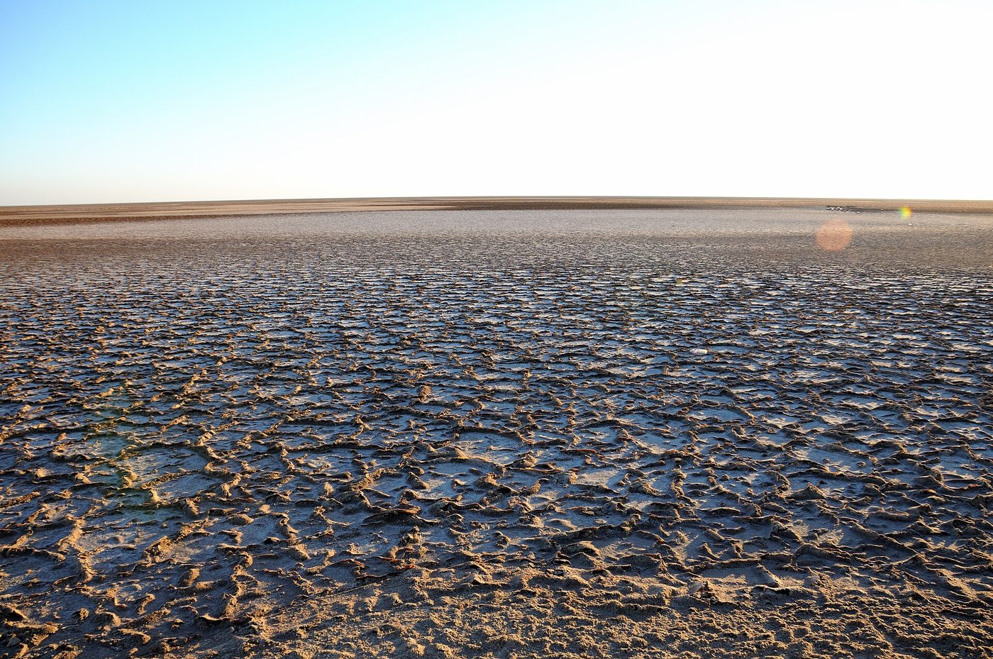 Cracked salt crust on Chott el Jerid, Tunisia's great salt lake