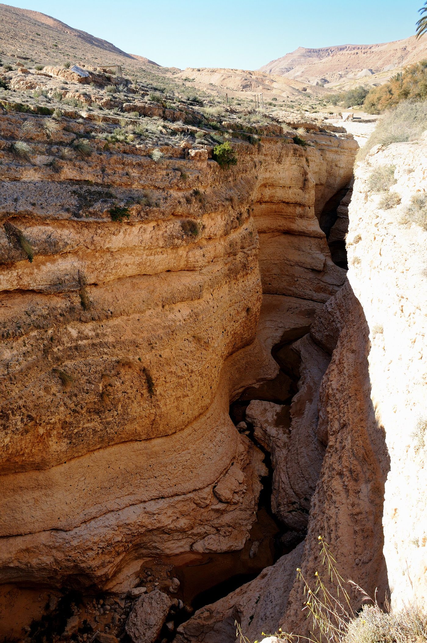 The narrow sandstone gorge at Mides on the Tunisia-Algeria border