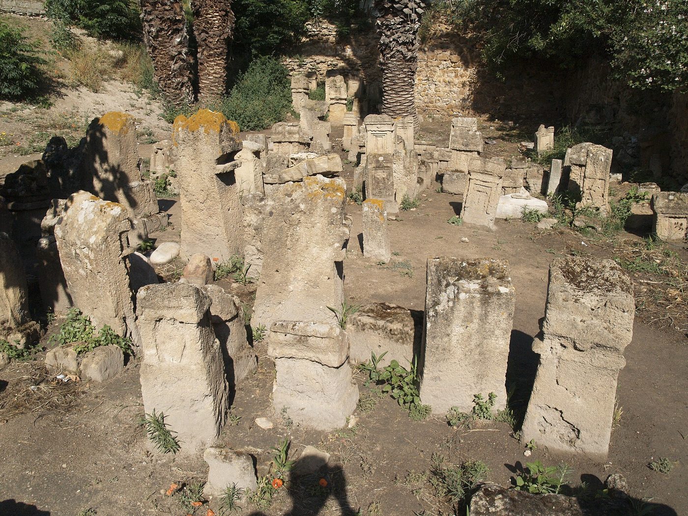 Rows of carved Punic stelae standing in the Tophet of Salammbo at Carthage